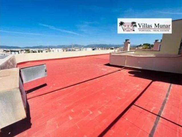 Piso Alquiler Palma de Mallorca, El Coll d'en Rabassa