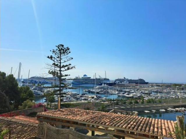 Piso Alquiler Palma de Mallorca, El Terreno