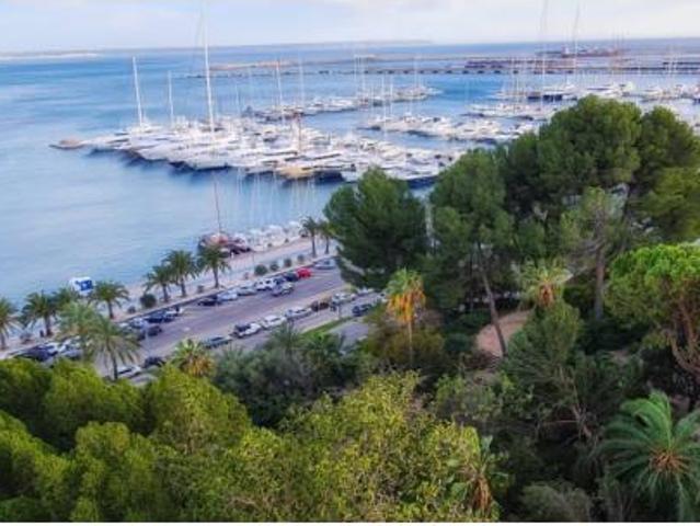 Piso Alquiler Palma de Mallorca, El Terreno