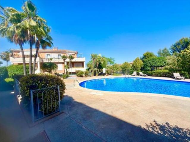 Piso Alquiler Palma de Mallorca, Son Cotoner