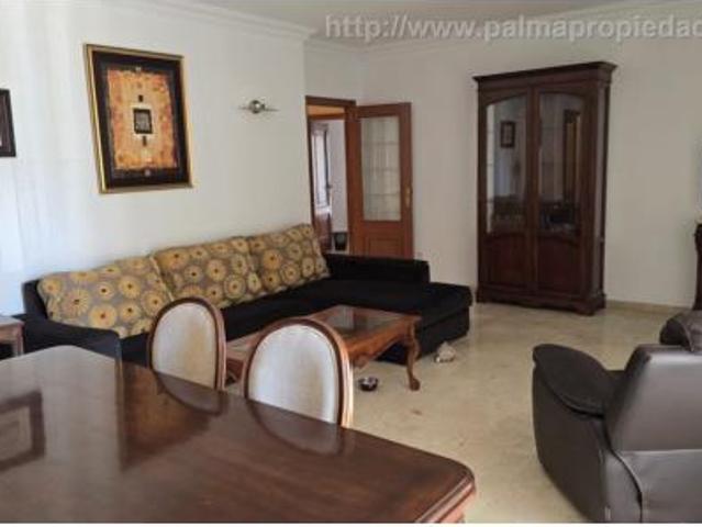 Piso Alquiler Palma de Mallorca, Son Dameto