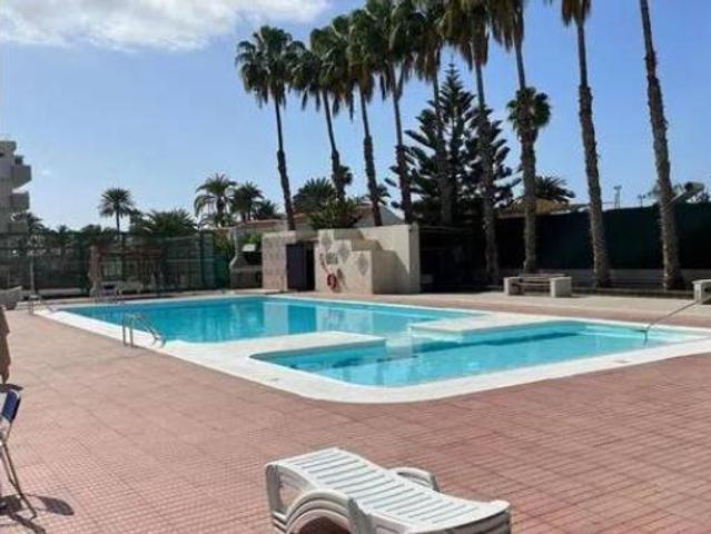 Piso Alquiler San Bartolomé de Tirajana, Playa del Inglés