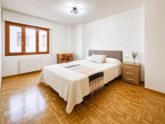 Piso Alquiler Segovia Capital, Centro