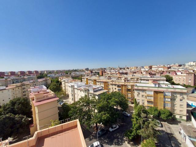 Piso Alquiler Sevilla
