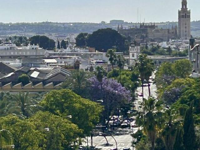 Piso Alquiler Sevilla