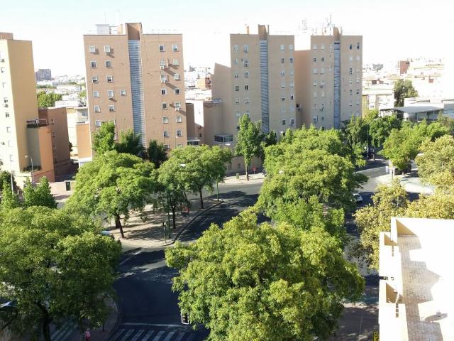 Piso Alquiler Sevilla