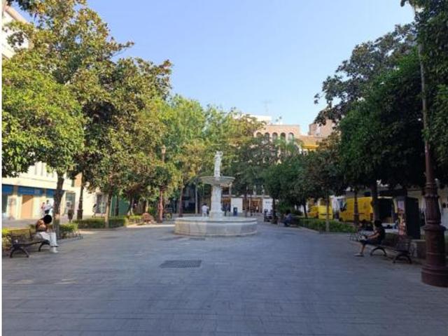 Piso Alquiler Sevilla Capital, Alfalfa
