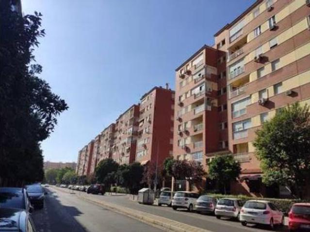 Piso Alquiler Sevilla Capital, El Plantinar El Juncal Avenida de la Paz