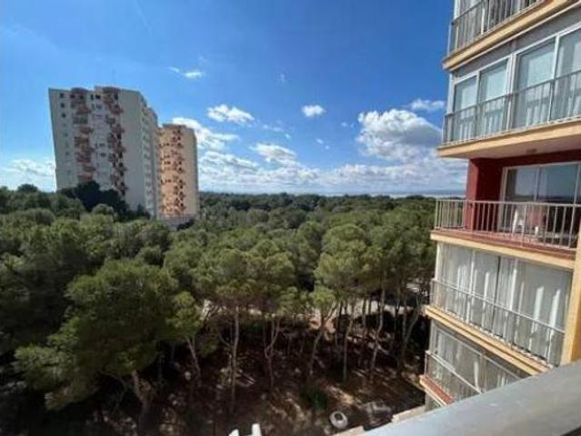 Piso Alquiler València Capital, El Saler
