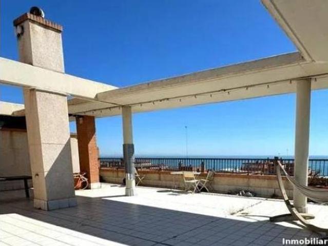 Piso Alquiler València Capital, La Malva rosa