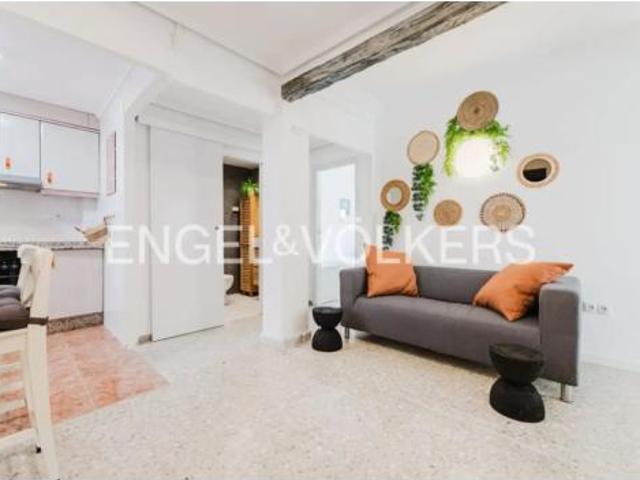 Piso Alquiler València Capital, La Malva rosa