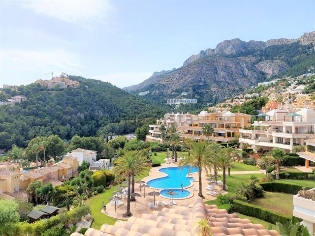 Piso, Altea
