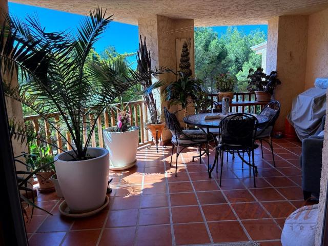 Piso, Altea