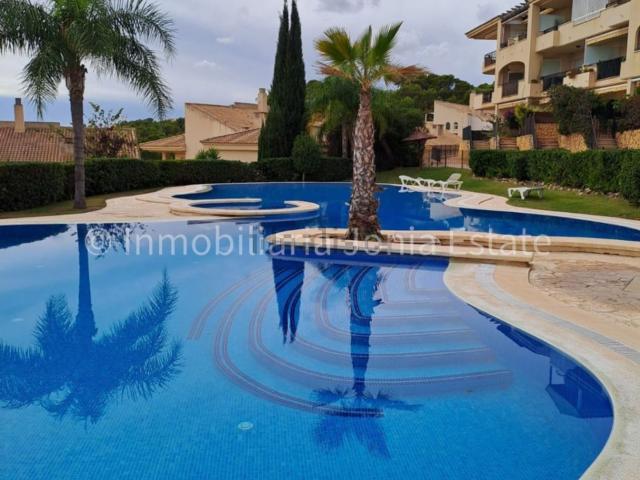 Piso, Altea