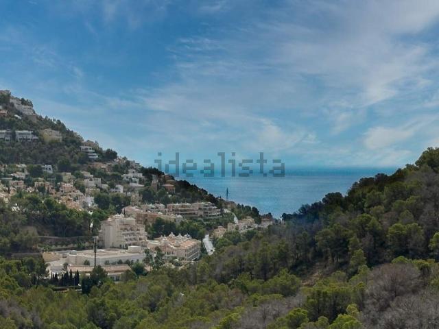 Piso, Altea