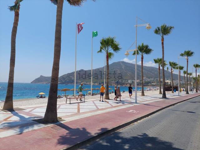 Piso, Altea