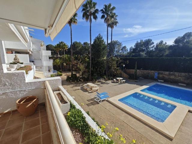Piso, Altea