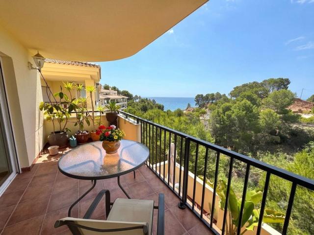 Piso, Altea