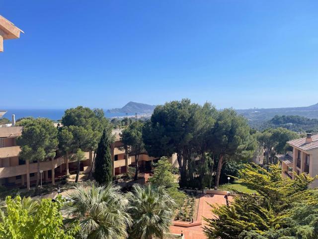 Piso, Altea