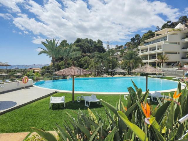 Piso, Altea