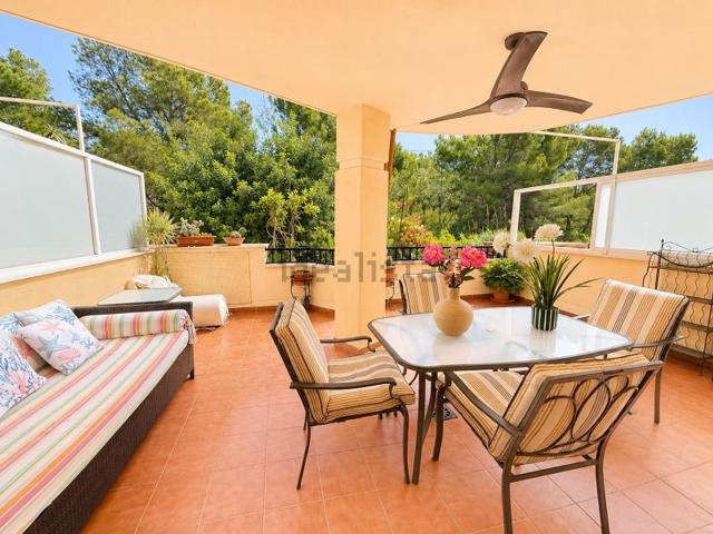 Piso, Altea