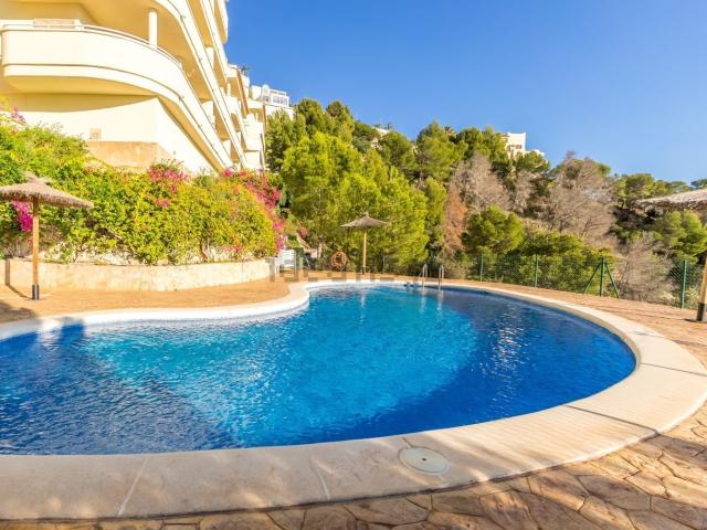 Piso, Altea