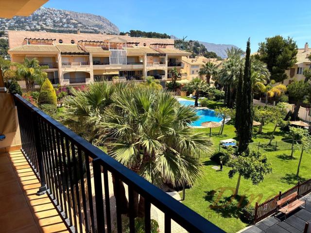 Piso, Altea