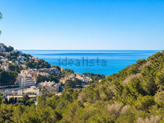 Piso, Altea
