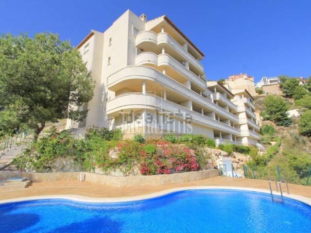 Piso, Altea