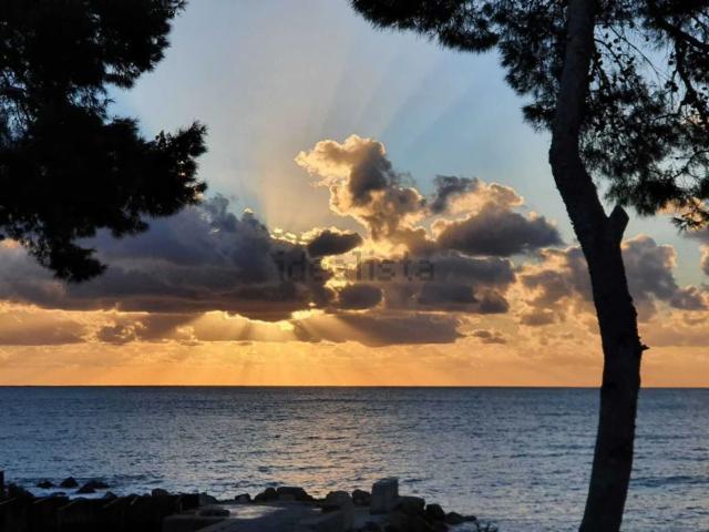 Piso, Altea