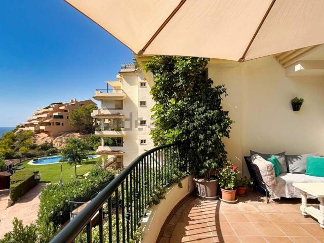 Piso, Altea