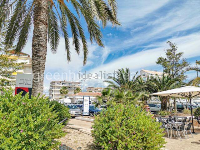 Piso, Altea