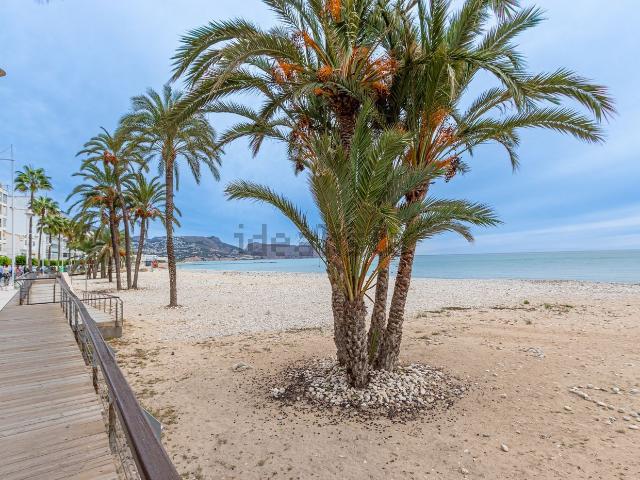 Piso, Altea