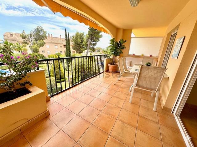 Piso, Altea