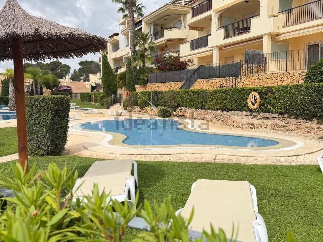 Piso, Altea