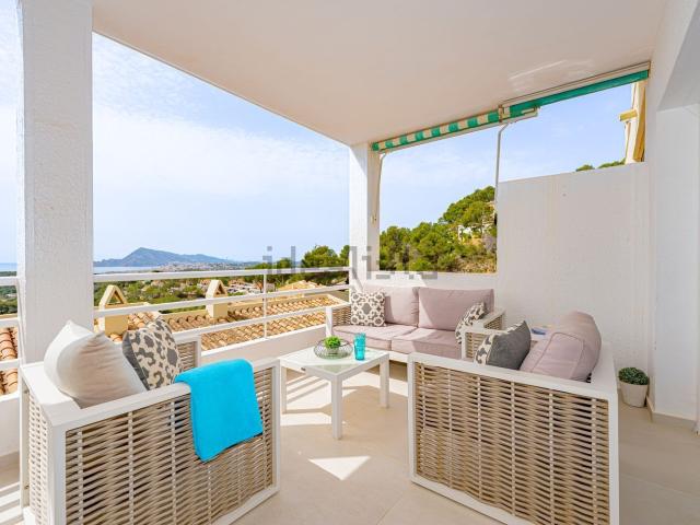 Piso, Altea