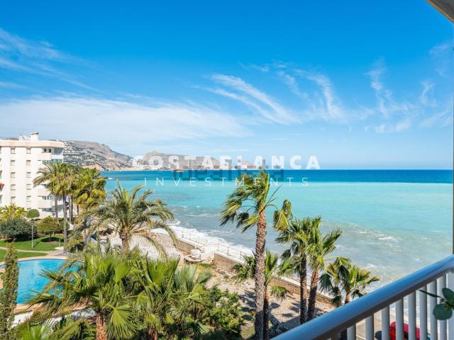 Piso, Altea