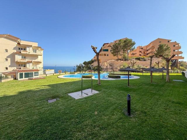 Piso, Altea