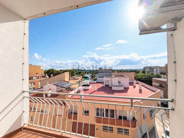 Piso, Amposta