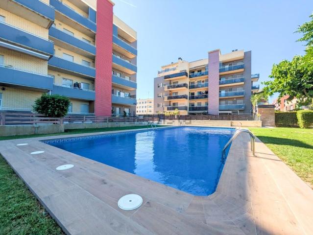 Piso, Amposta