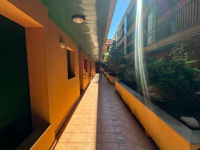 Piso, Amposta