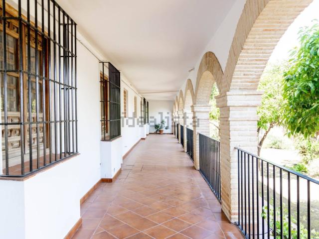 Piso, Antequera