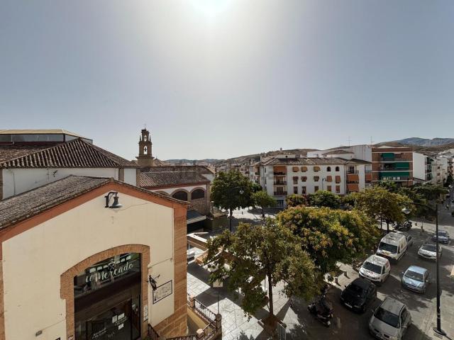 Piso, Antequera