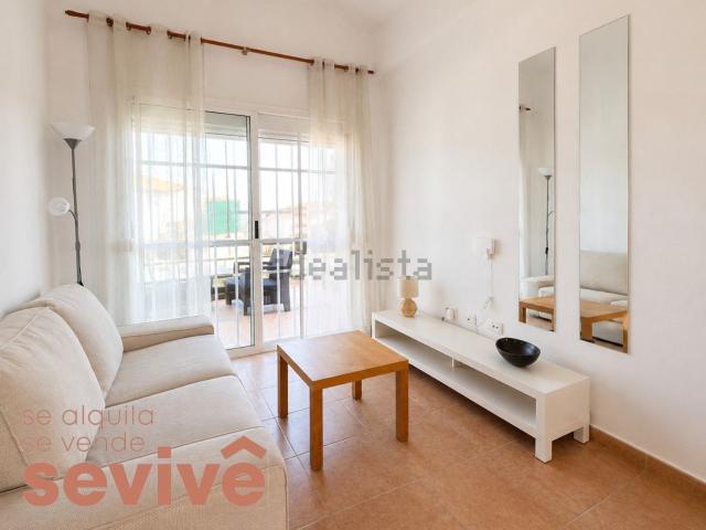 Piso, Antigua
