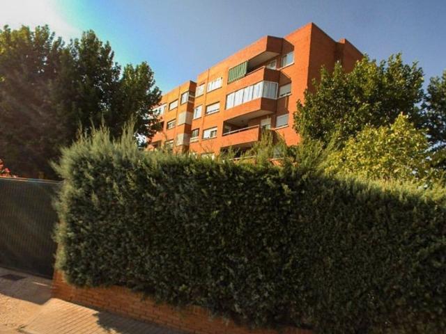 Piso, Argamasilla de Alba