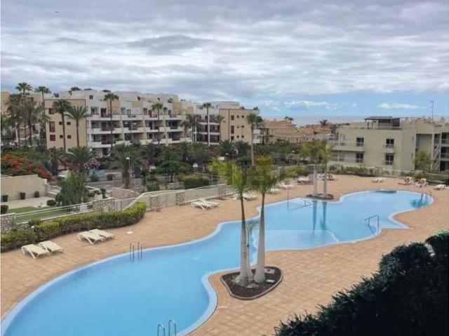 Piso, Arona
