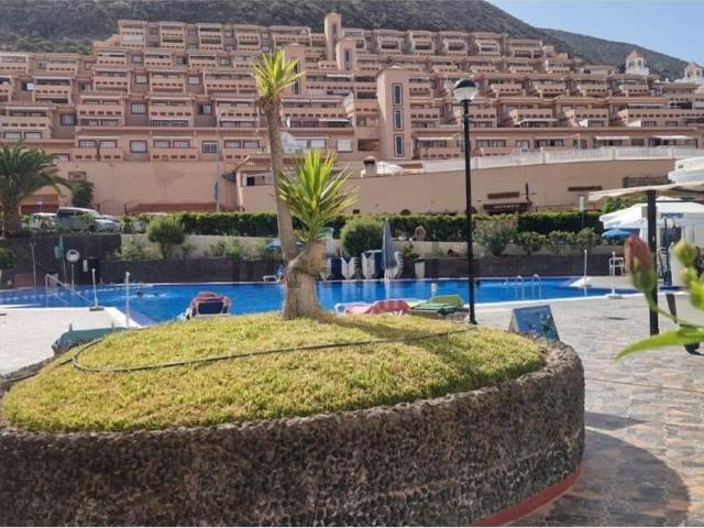 Piso, Arona