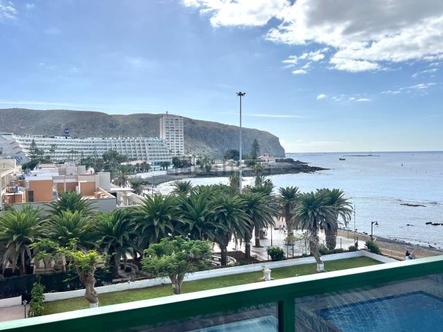 Piso, Arona
