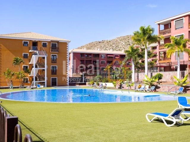 Piso, Arona