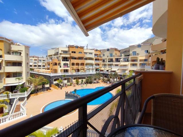 Piso, Arona